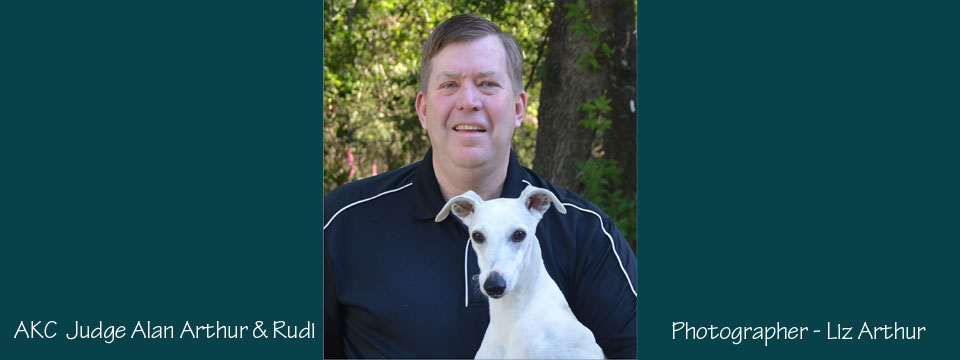 AlanArkin_AKCJudge_Rudi-Whippet-