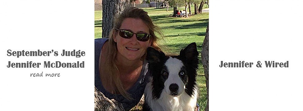 September's Judge Jennifer & Border Collie Wired-