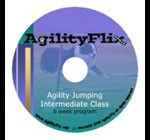 AgilityJumpingIntermediateClass_A.Dexter-