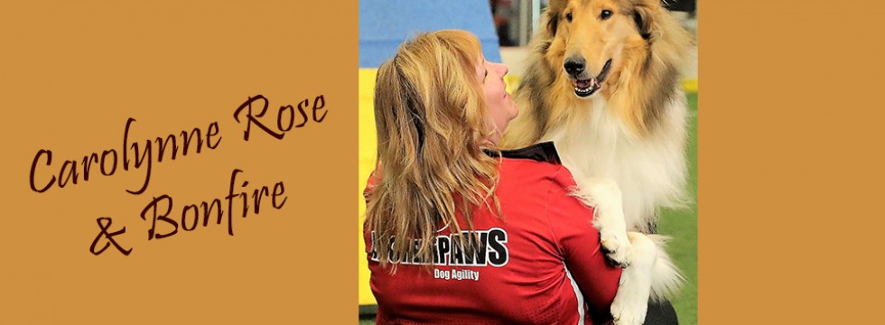 AKC-Judge-CarolynneRose+Bonfire-CollieDog_HighScoringStandard